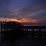 75446794_3217030225038960_3236441162445225984_o