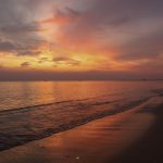 75453541_3217029261705723_4872234140650438656_o