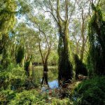 75462293_3189985877743395_8132769661604331520_o