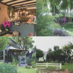 75513420_3212395045502478_2453983930265632768_o