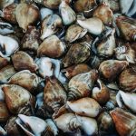 75587482_3216930798382236_3393230708817264640_o