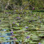 75593816_3189986464410003_7818222513296506880_o