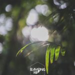 76713926_3212396325502350_5165984580569661440_o