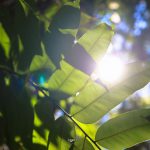 76730157_3189986177743365_7586953436533358592_o