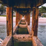 76932487_3217029771705672_2277295916375343104_o